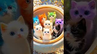 Beautiful ai cats 💕💕 ❤️❤️💜💜#viralvideo #cat #kittten #catcute #viralshorts #shortsvideo #cutekittten