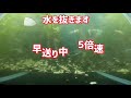 【熱帯魚アクアリウム】グッピー水槽の水換えを手軽に！きれいになり具合がちょうどいい【かき混ぜ式換水】早い、きれい、楽！