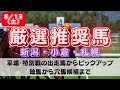 【中央競馬予想】8月13日 土 平場・特別レースの注目推奨馬ピックアップ