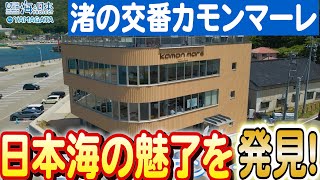 豊かな海を次世代へ！新しい地域づくりの拠点日本財団 海と日本PROJECT in 山形 2023 #07