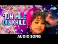 Tu Mile Dil Khile | Kumar Sanu | Alka Yagnik | Criminal | Nagarjuna | Manisha Koirala | Audio Song