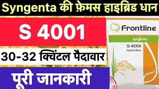 Syngenta s 4001 paddy variety | syngenta s 4001 dhan ki kheti kaise kare |