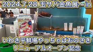 2024.7.28 玉サバ金魚展〜inいわき平鮮場やっちゃば おのざきリニューアルオープン記念