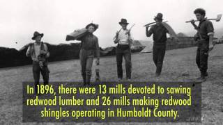 Mills of Humboldt County