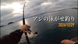 青物が潜む防波堤【アジの泳がせ釣り】HIT連発‼️