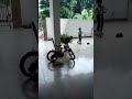 darsh trying scooter for first time old video