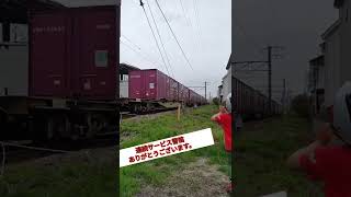 貨物列車桃太郎#40　“連続警笛”運転士さんありがとうございます‼️#shorts