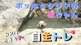 ホッキョクグマの赤ちゃん　自主トレ【Polar bear baby movie】