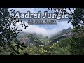 Aadrai jungle trek  | The Dark Forest near kalu water fall 😍| @ss_surajshinde24