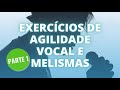 EXERCÍCIOS PARA MELISMAS E AGILIDADE - Parte 1