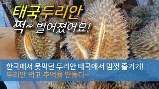 태국두리안 쩍~벌어졌어요! 두리안먹고 추억만들기!