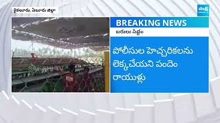 Bettings In Eluru District | Sankranthi Celebrations Begins | West Godavari | @SakshiTV