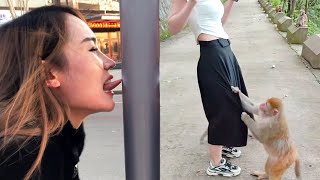 BAD DAY ??? Better Watch This 1 Hours Best Funny & Fails Of The Year 2024 Part 7