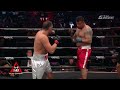HUGE KO! Kubrat Pulev VS Frank Mir Post Fight Reaction