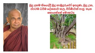 බුදු දහම තියෙද්දී බුදු හාමුදුරුවෝ ඉපදුණ, බුදු උන, පිරිණිවන් පාපු  තැන හොයන්නේ මොකටද