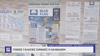 Πρωταθλήτρια στην ποιότητα των υδάτων η Χαλκιδική | 11/05/2023 | ΕΡΤ