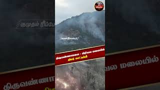 திருவண்ணாமலை - கிரிவல மலையில் திடீர் காட்டுத்தீ #Thiruvannamalai | #ForestFire