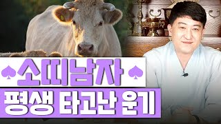 [서울용한점집무당 장진호법사] 🐂👦🏻 소띠 남자의 타고난 특징 성격과 평생운세는?