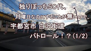 独りぼっち５０代、水曜日なのにすることが無いので、宇都宮駅市 白沢街道 パトロール！？（1/2）