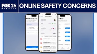 Arrest raises questions about online safety