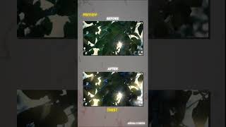HOW TO ADD GLOW EFFECT IN VIDEO | GOLDEN EFFECT | DREAMY EFFECT | CAPCUT TUTORIAL