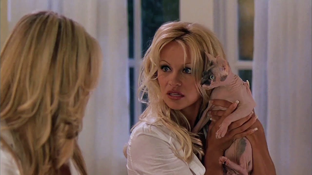 Scary Movie 3