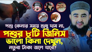 পশু কেনার সময় শুধু দাম না, পশুর ৮টি জিনিস ভালো কিনা দেখুন, নতুবা টাকা জলে যাবে ? mustafiz rahmani