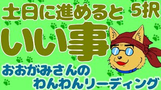 🐶休日を幸せに輝かせる方法を！土日に進めると「いい事」！おみくじっぽい「５択」リーディング🐶わんこたちに聞く🐶おおがみさんのわんわんリーディング【タロット・オラクルカードリーディング】🐶