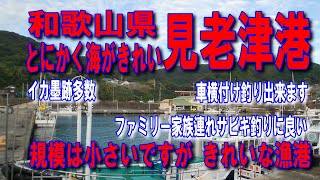 #125和歌山県見老津港和歌山県西牟婁郡すさみ町見老津海と入江が素敵な道とにかく海がきれい車横付け釣り出来ますファミリー家族連れサビキ釣りに良いイカ墨跡多数五目で色々な魚が良く釣れる漁港人気のポイント