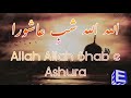 Allah Allah Shab e Ashura | Nohay Syedabad 2014