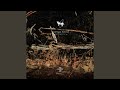 Burning forest everywhere (Original Mix)