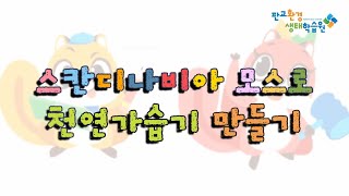 2020 교육프로그램 _ [슬기로운 랜선생활 6] 스칸디나비아 모스로 만드는 천연가습기