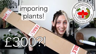 I SPENT £300 IMPORTING PLANTS FROM ECUADOR | Ecuagenera Haul