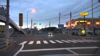 道路走行中に犬が飛び出して来たら