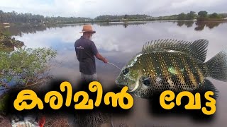 മഴവെള്ളം കയറിയതിനു ശേഷം ഒരു കരിമീൻ വേട്ട| #fish #fishingfisharmen