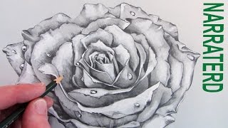 How to Draw a Rose: Narrated Pencil Drawing