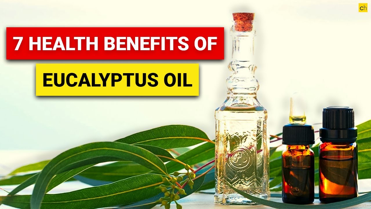 7 Health Benefits Of Eucalyptus Oil That You Must Know! Credihealth ...