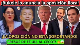 🔴 ¡BUKELE TIRA BOMBAZO Y LA OPOSICIÓN ESTÁ QUE NO SOPORTA! 💣🔥