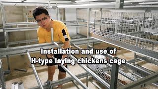 Poultry farm business plan | Installation and use of 4 layer H type laying hen cages | GREAT FARM