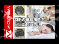 fieldsahara microprima 人口ダウン寝袋 シュラフ キャンプマット セット pr動画