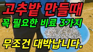 고추밭 만들때 이 세가지 비료를 꼭 사용하는 이유