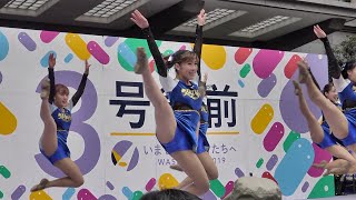 早稲田祭2019   チアダンスチーム「 MYNX 」ステージ 後半　(スロー再生)