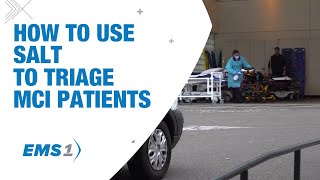 How to use SALT to triage MCI patients