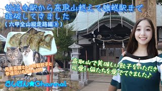 【六甲全山縦走路】妙法寺駅から高取山越えて鵯越駅まで踏破してきました（六甲全山縦走路編③）【月見茶屋 特製餃子】