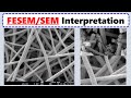 How to Interpret SEM Images?