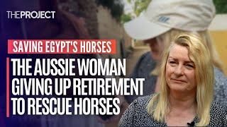 Saving Horses: The Aussie Woman Giving Up Her Retirement To Rescue Horses