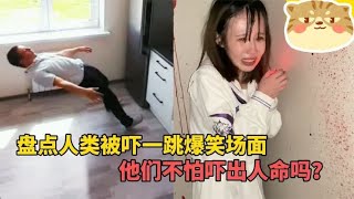 盘点全网那些人类被吓一跳，爆笑名场面