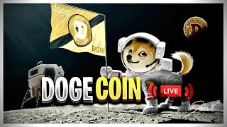 Dogecoin's New Trend Is Official | Dogecoin News Today