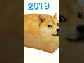 doge meme elelution