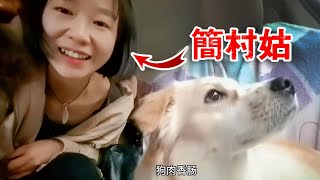 「简村姑」终于回家了，换个新发型，准备摘橙子！| 女骑士Jane